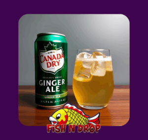 Ginger Ale Can Soda