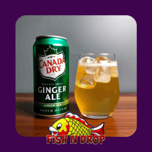 Ginger Ale Can Soda