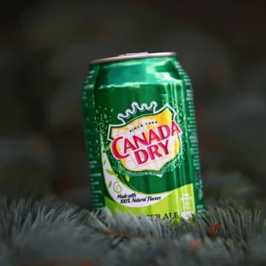 Ginger Ale Can Soda